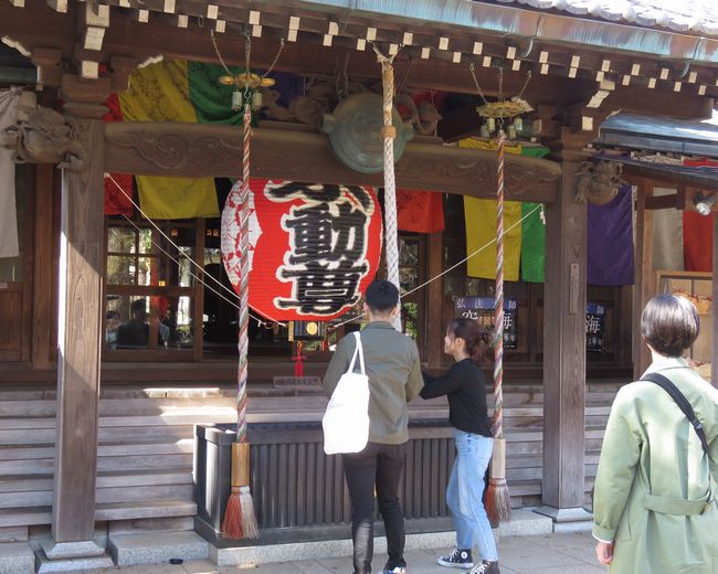 f:id:mushikisya:20200322160010j:plain f:id:mushikisya:20200322160010j:plain