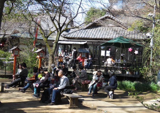 f:id:mushikisya:20200322160318j:plain f:id:mushikisya:20200322160318j:plain