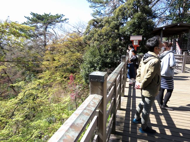 f:id:mushikisya:20200322160500j:plain f:id:mushikisya:20200322160500j:plain