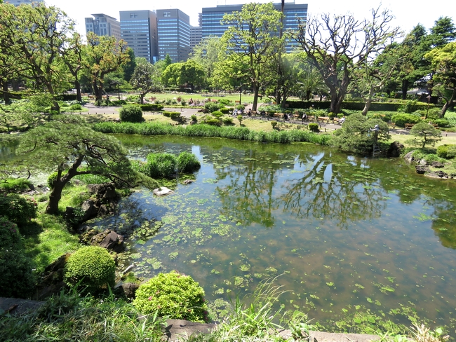 f:id:mushikisya:20200628150317j:plain f:id:mushikisya:20200628150317j:plain