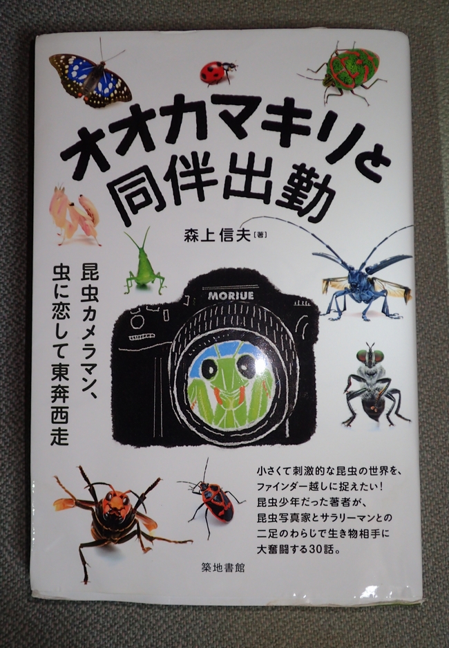 月刊遊 1979年12月号 1010 虫類誌×形態考　工作舎 Yahoo!オークション -「遊 工作舎」(本、雑誌) の落札相場・落札価格