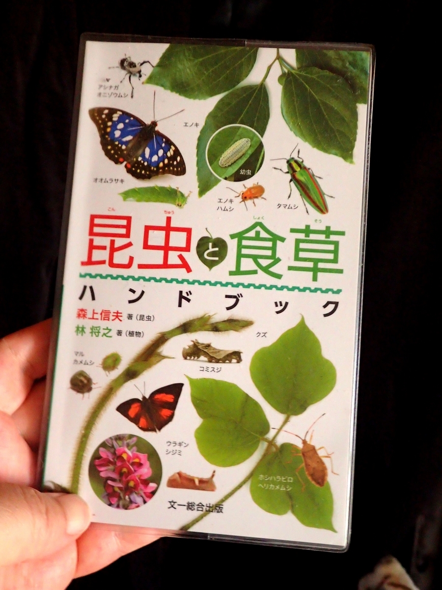 森上、林両氏による新著「昆虫と食草ハンドブック」は写真と情報が 