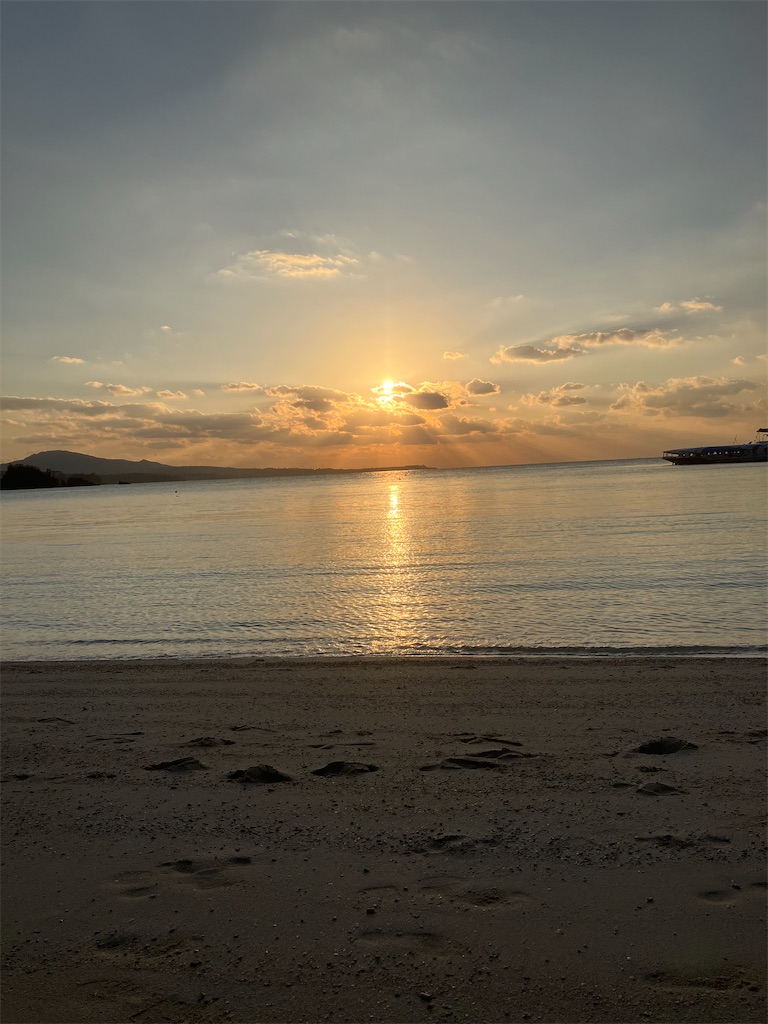 f:id:mushisakasama:20240123210429j:image