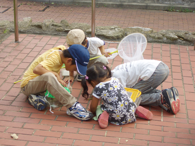 夏休みに虫とりデビュー 小さい子の虫とりにおすすめの虫たち 虫はともだち 夏休みに虫とりデビュー 小さい子の虫とりにおすすめの虫たち 虫はともだち