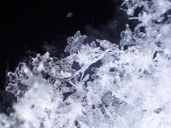 コンパクトデジカメTG-4で雪の結晶を撮影してみました - 虫はともだち