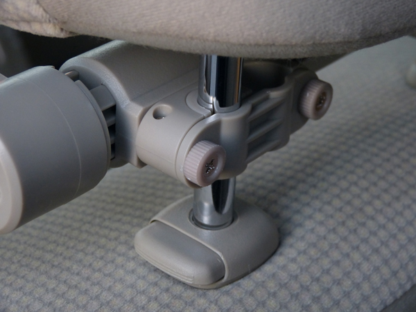 f:id:mushitomo:20201206172034j:plain