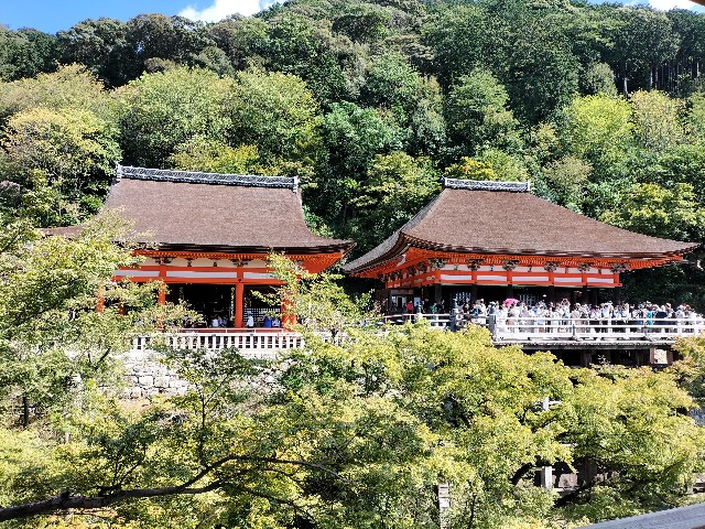 f:id:mushitora:20231014073428j:image