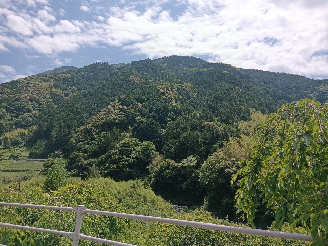 f:id:mushitora:20250601083237j:image f:id:mushitora:20250601083237j:image
