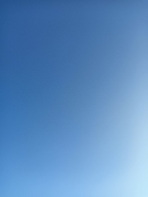 f:id:mushitora:20250807144509j:image