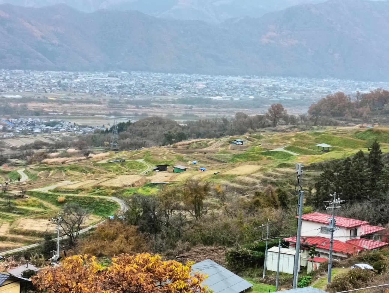 f:id:mushitora:20251214144737j:image f:id:mushitora:20251214144737j:image