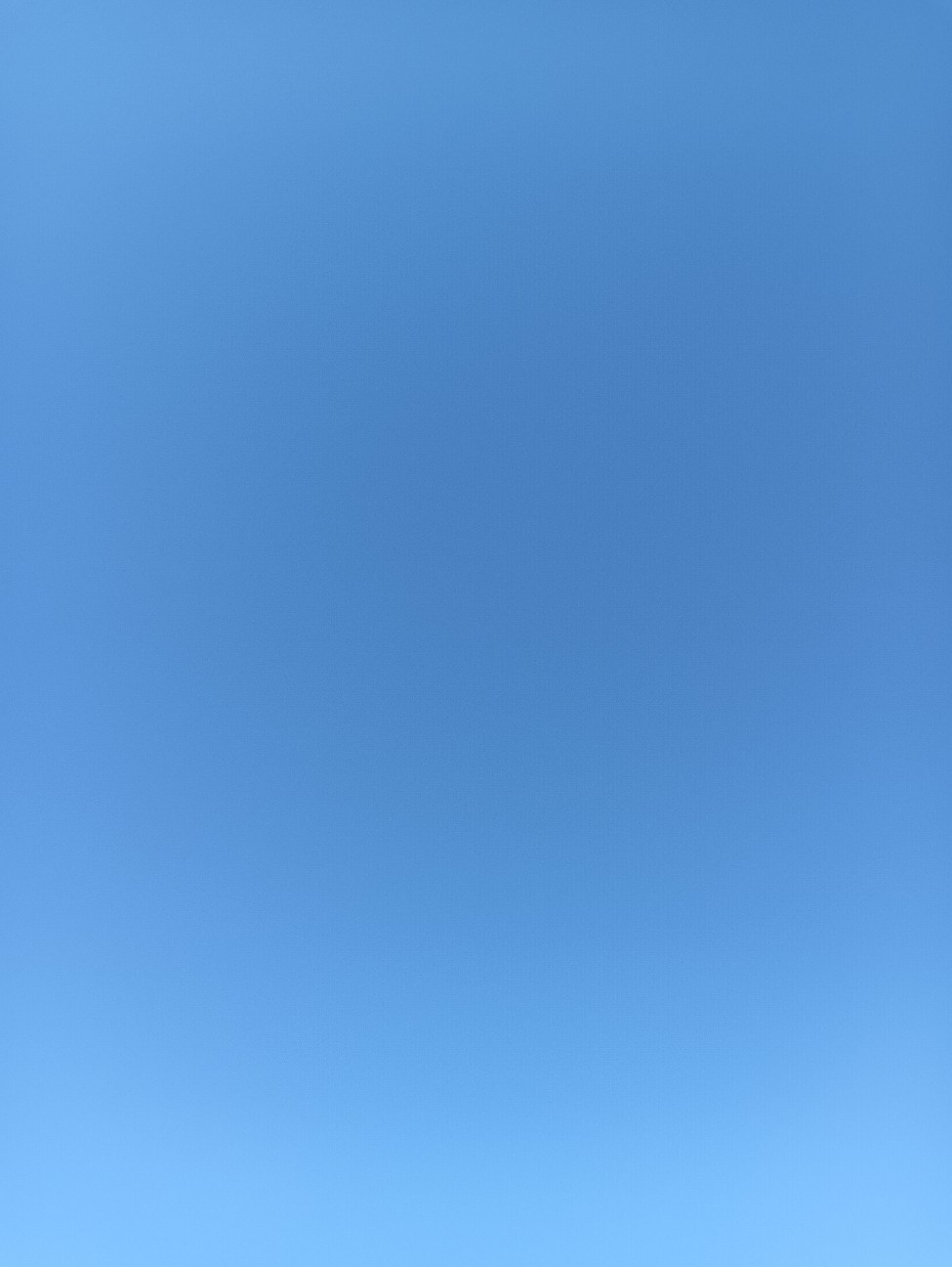 f:id:mushitora:20260614093843j:image f:id:mushitora:20260614093843j:image