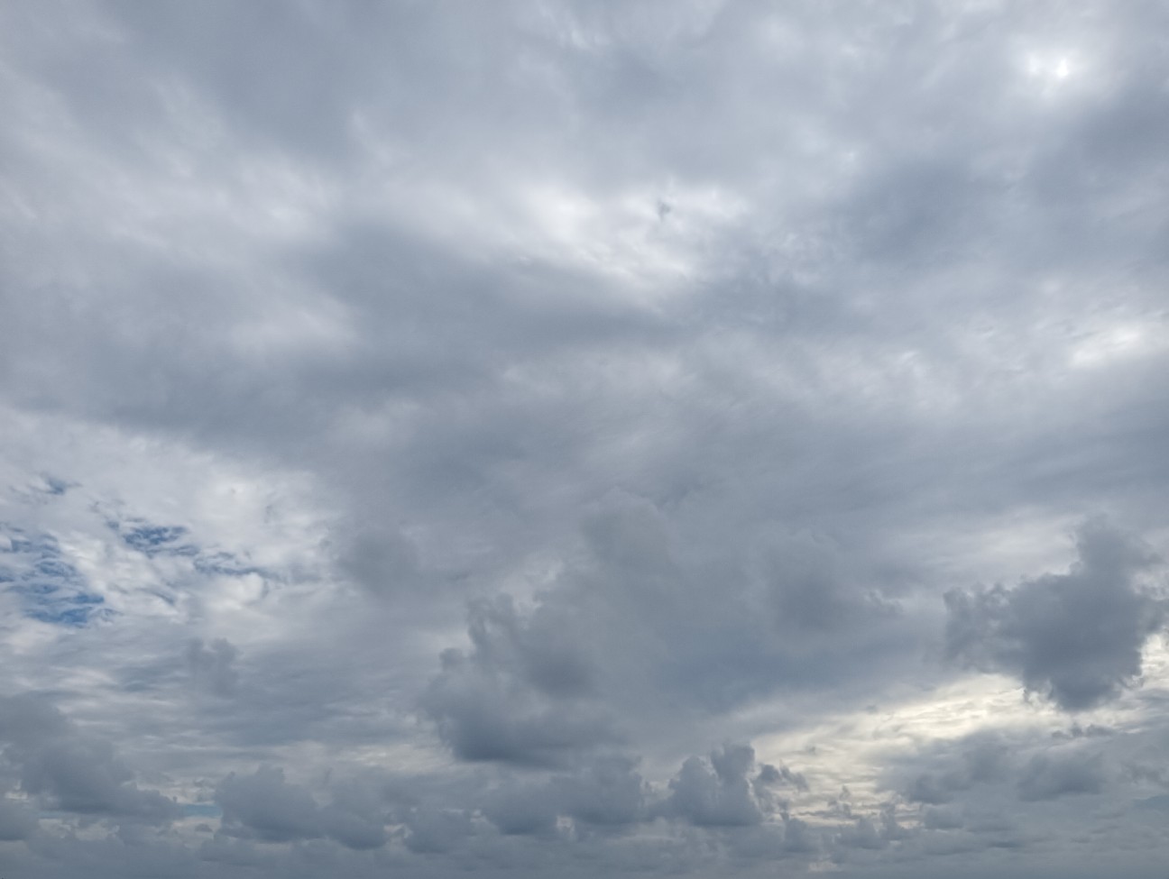 f:id:mushitora:20261008105908j:image f:id:mushitora:20261008105908j:image