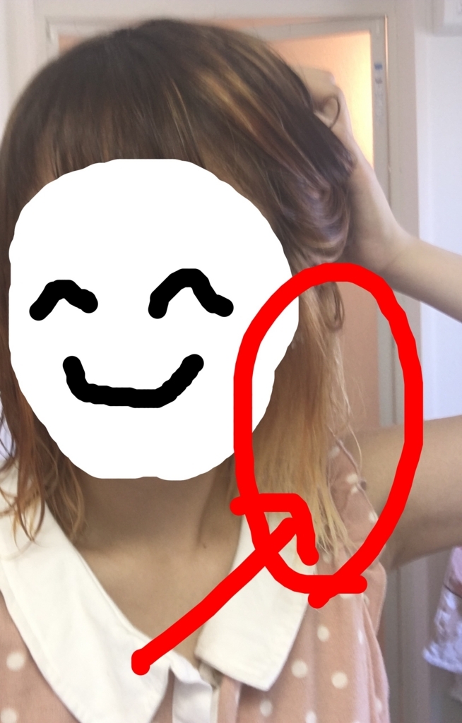f:id:mushokuganba:20170715170317j:plain
