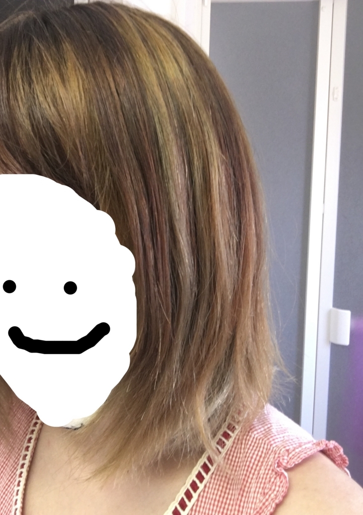 f:id:mushokuganba:20170715170409j:plain
