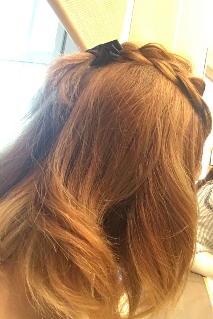 f:id:mushokuganba:20170715170827j:plain