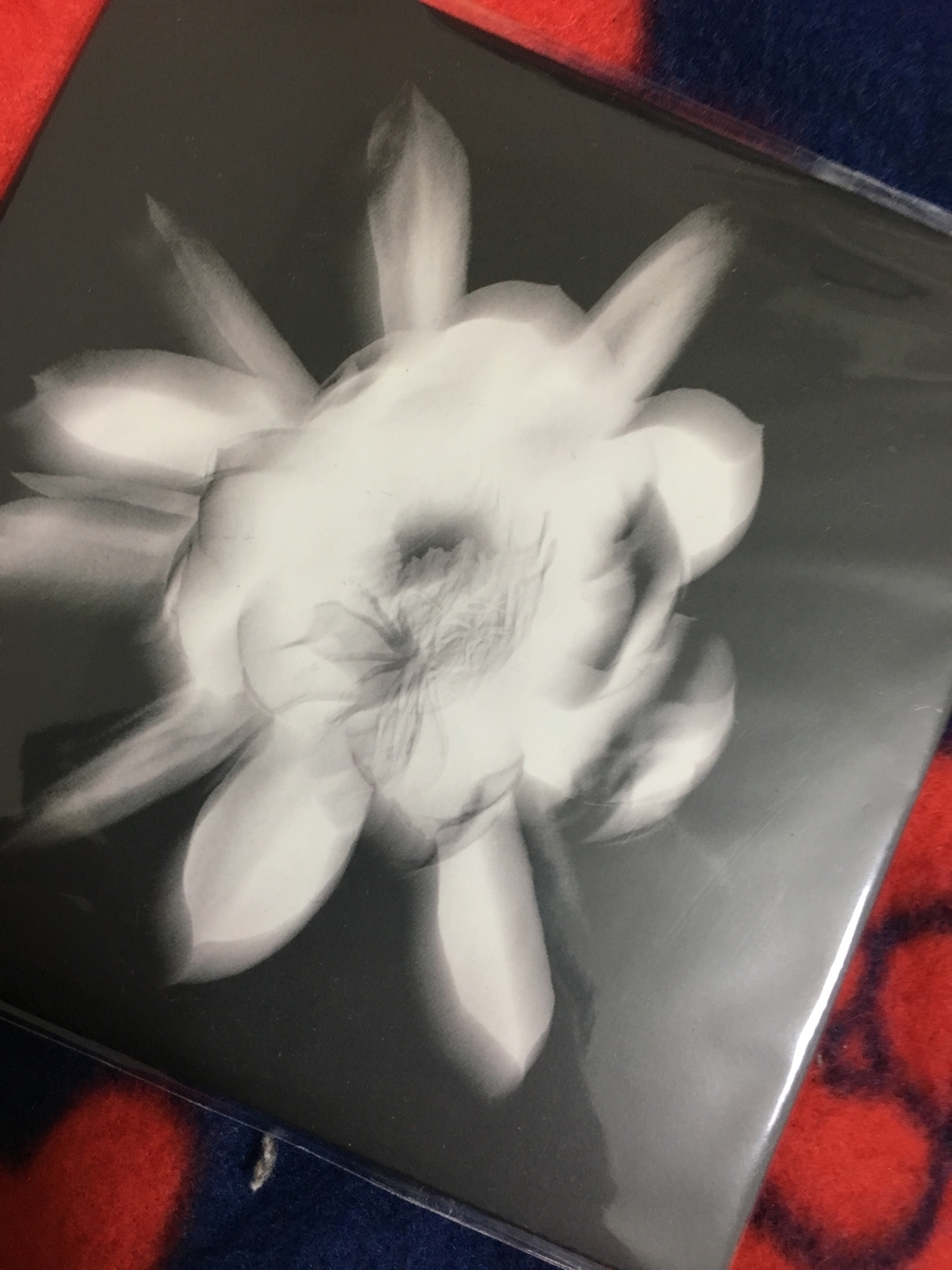 f:id:music_brog_2p:20190330220107j:plain