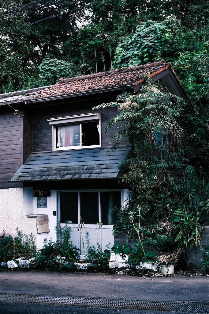 f:id:music_to_camera:20221231092604j:image