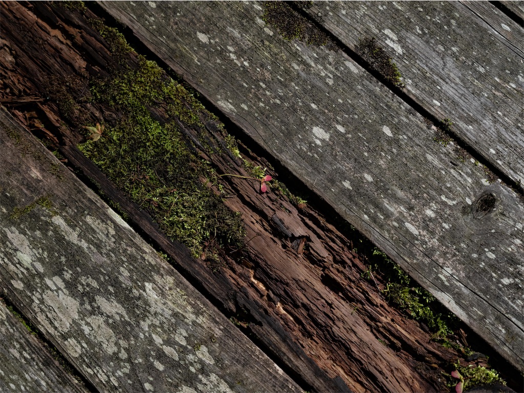 f:id:music_to_camera:20230104174740j:image