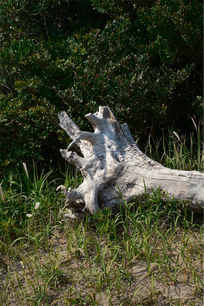 f:id:music_to_camera:20230525150545j:image