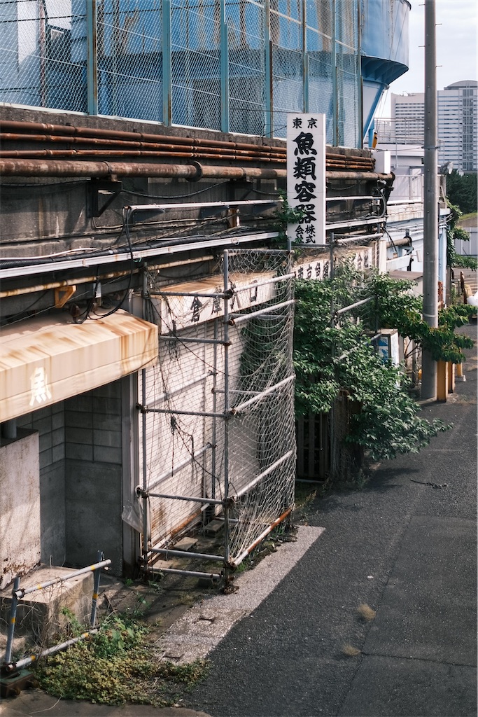 f:id:music_to_camera:20230609154310j:image