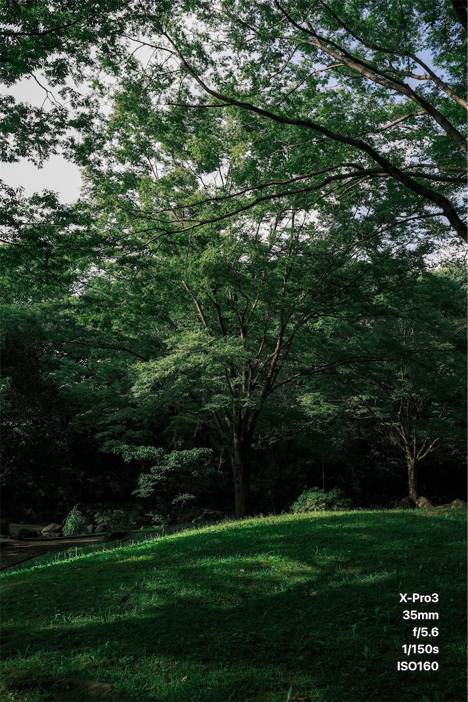 f:id:music_to_camera:20230706192217j:image