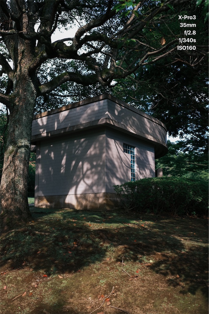 f:id:music_to_camera:20230706192220j:image