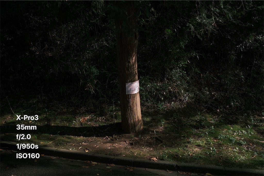 f:id:music_to_camera:20230708125816j:image