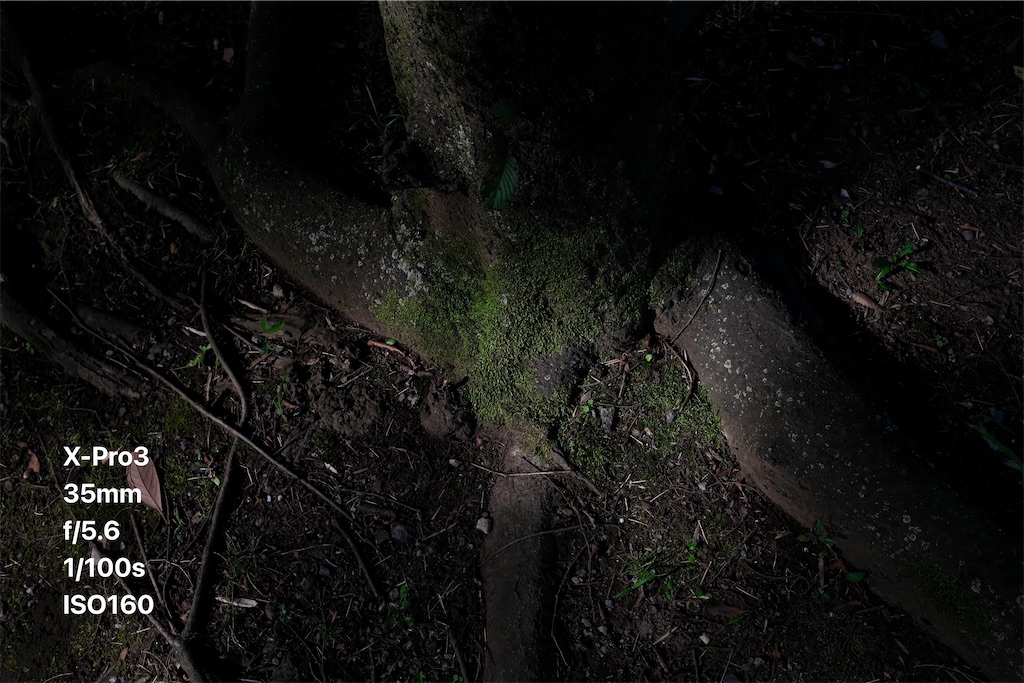 f:id:music_to_camera:20230708125819j:image