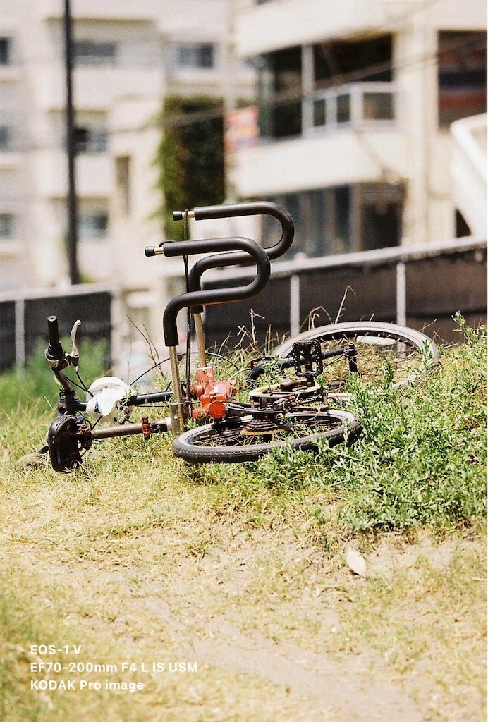 f:id:music_to_camera:20230829170645j:image