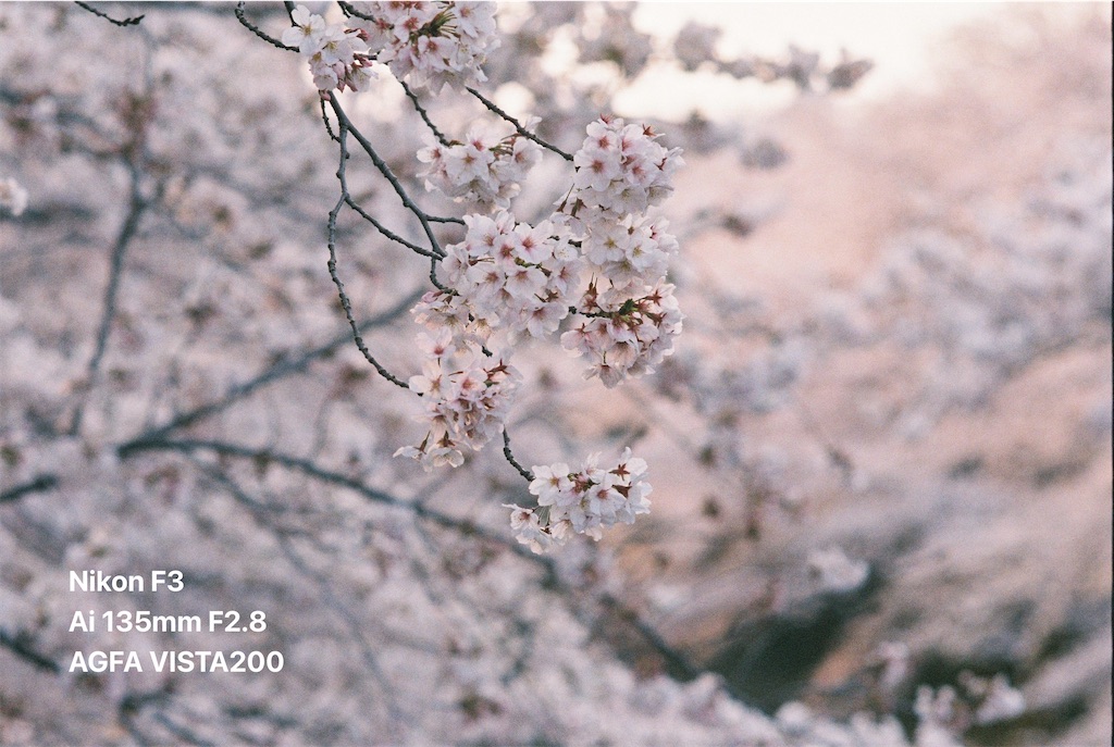 f:id:music_to_camera:20230829170723j:image