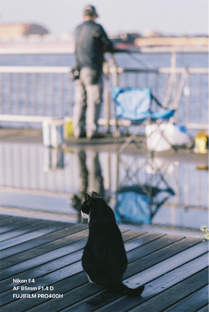 f:id:music_to_camera:20230829170754j:image