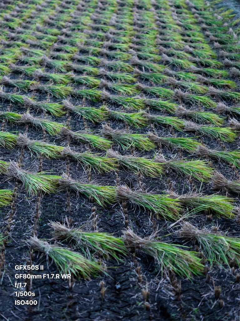 f:id:music_to_camera:20230903230032j:image