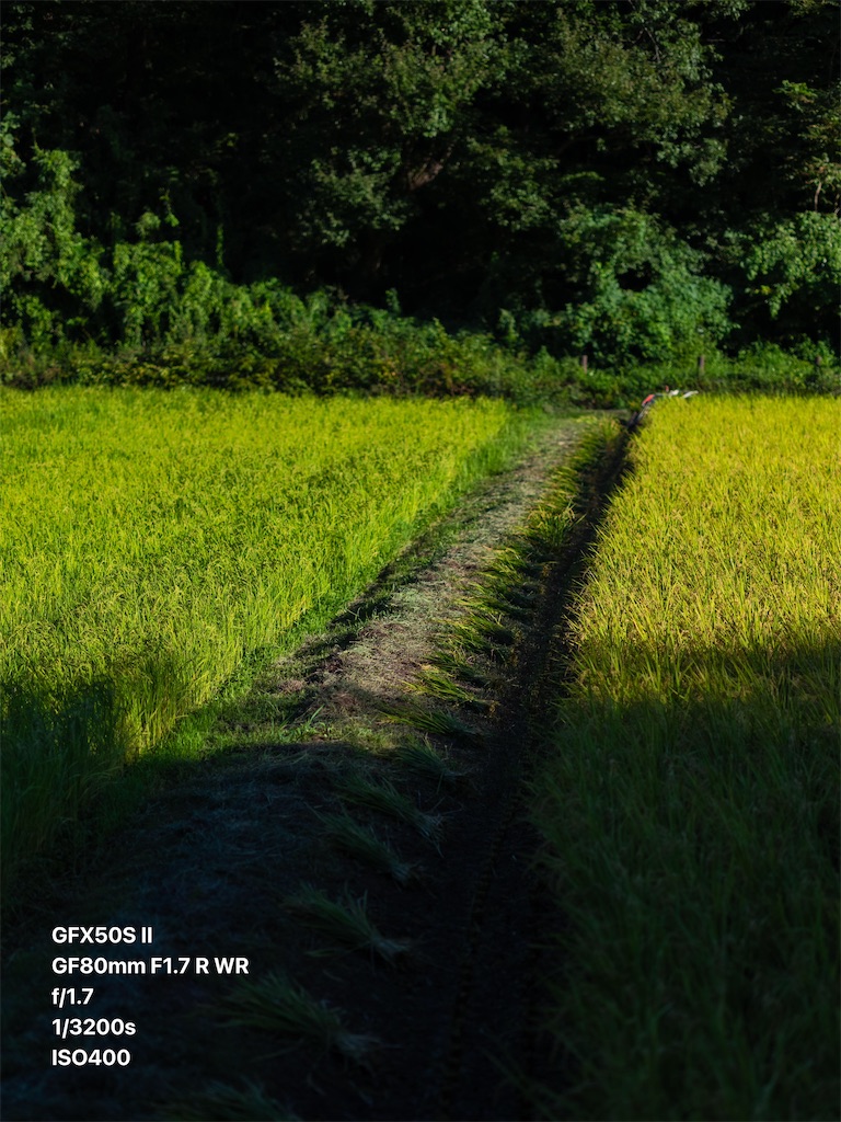 f:id:music_to_camera:20230903230035j:image