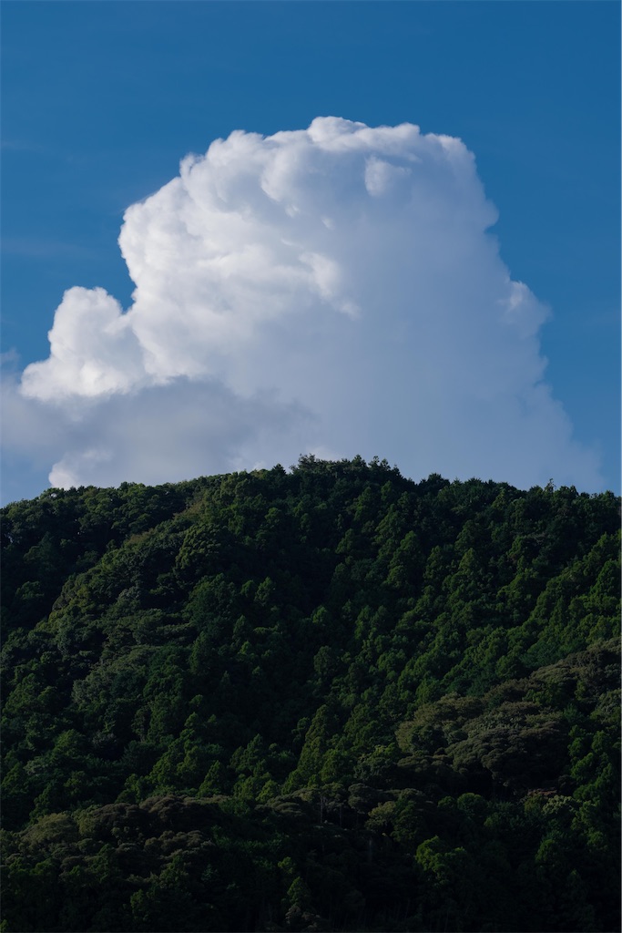 f:id:music_to_camera:20230930064713j:image