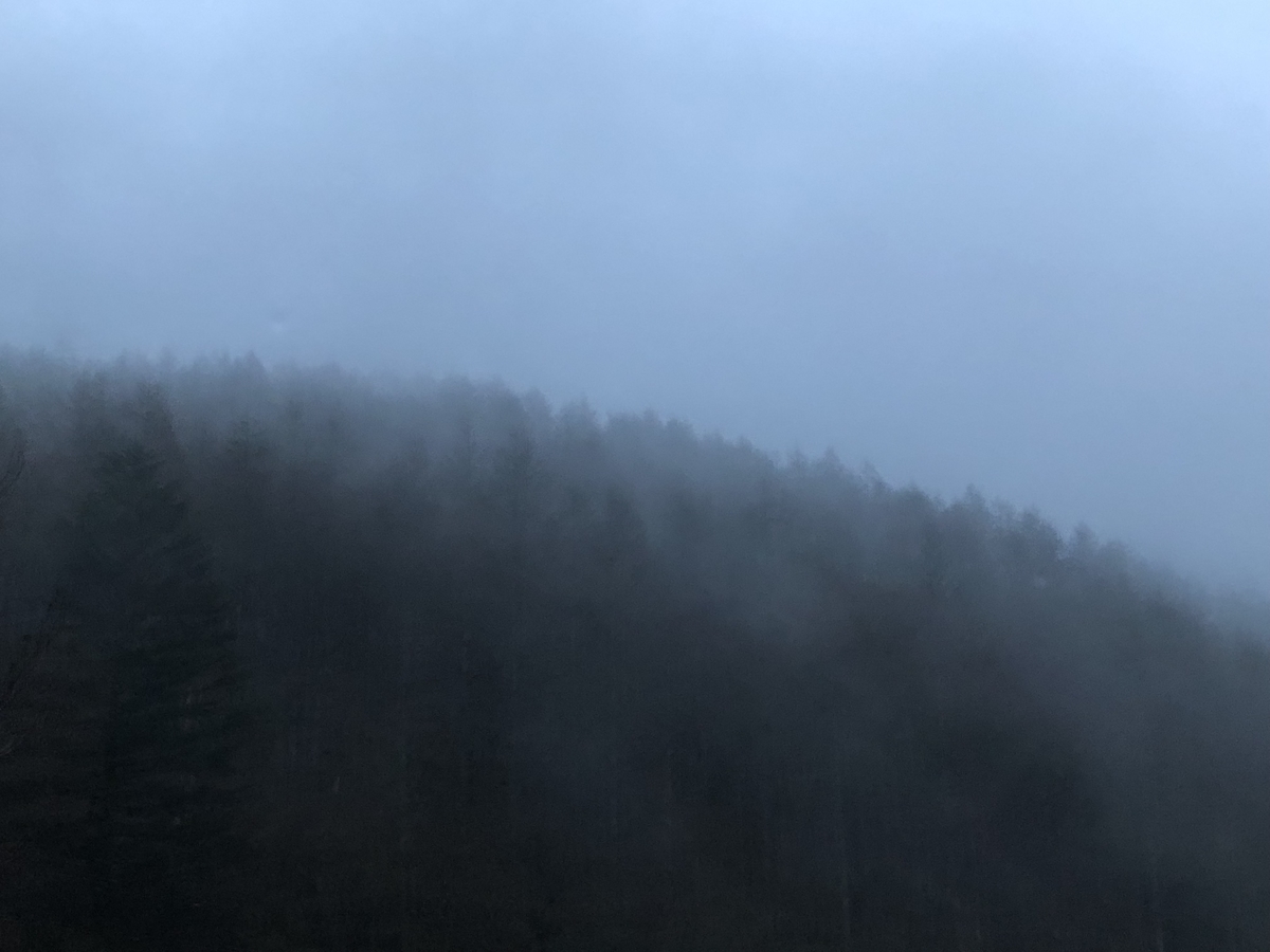 f:id:musikuixxx:20190511052346j:plain f:id:musikuixxx:20190511052346j:plain