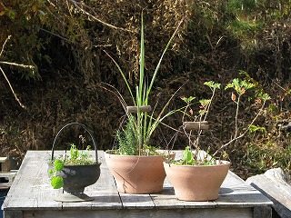 買ってはいけない 廃タイヤの植木鉢 Blog 自給知足がおもしろい 買ってはいけない 廃タイヤの植木鉢 Blog 自給知足がおもしろい