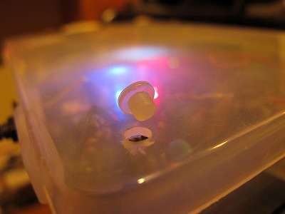 f:id:musikusanouen:20111111002349j:image f:id:musikusanouen:20111111002349j:image