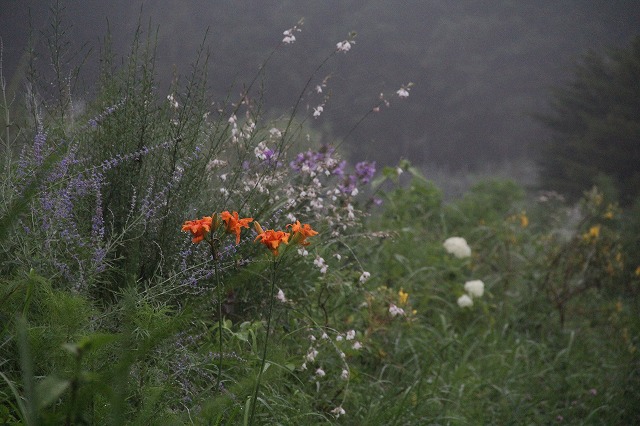 f:id:musikusanouen:20120721225746j:image