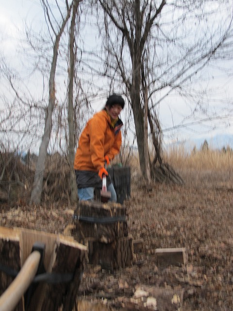 f:id:musikusanouen:20130213002626j:image:w300