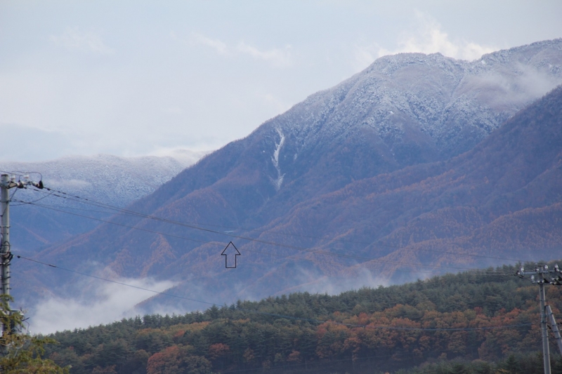 f:id:musikusanouen:20131115202130j:image:w360