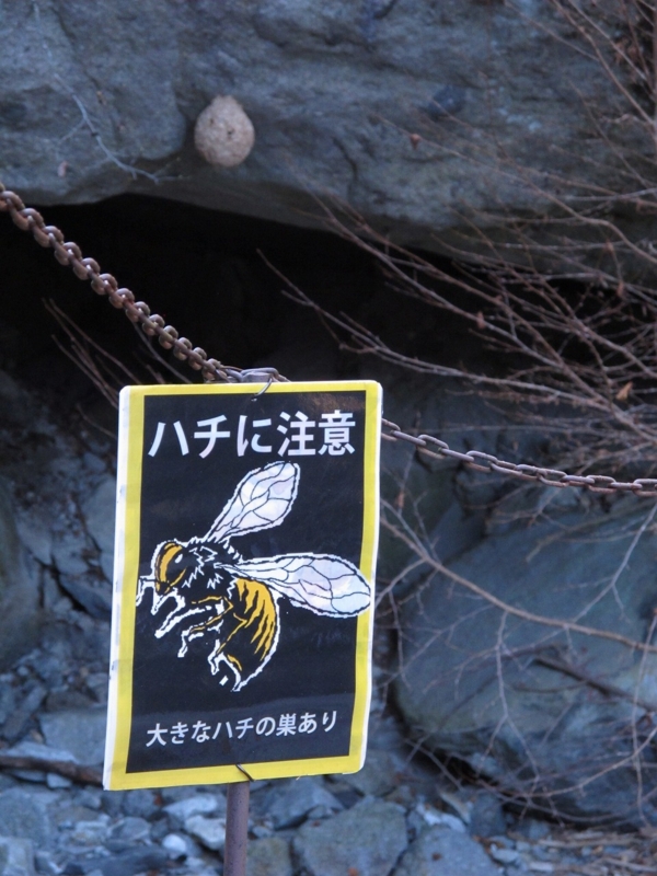 f:id:musikusanouen:20131116213420j:image:w360