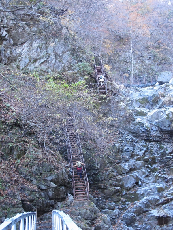 f:id:musikusanouen:20131116213422j:image:w360