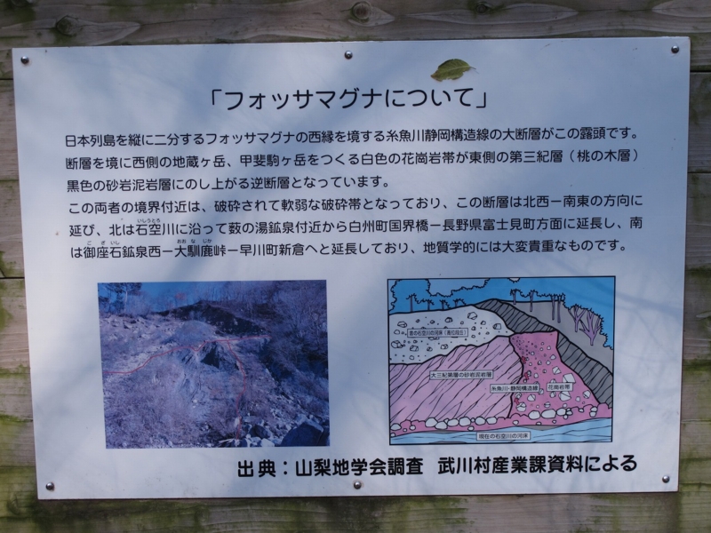 f:id:musikusanouen:20131116213429j:image:w200