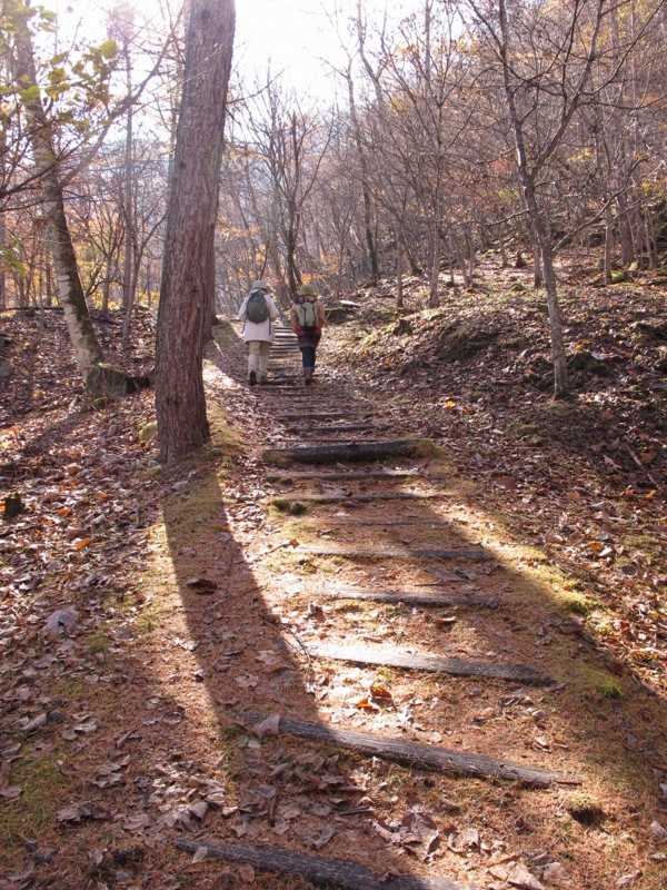 f:id:musikusanouen:20131116213433j:image:w360