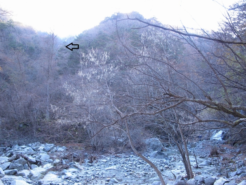 f:id:musikusanouen:20131116221501j:image:w360