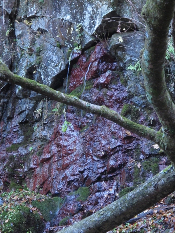 f:id:musikusanouen:20131116221506j:image:w250