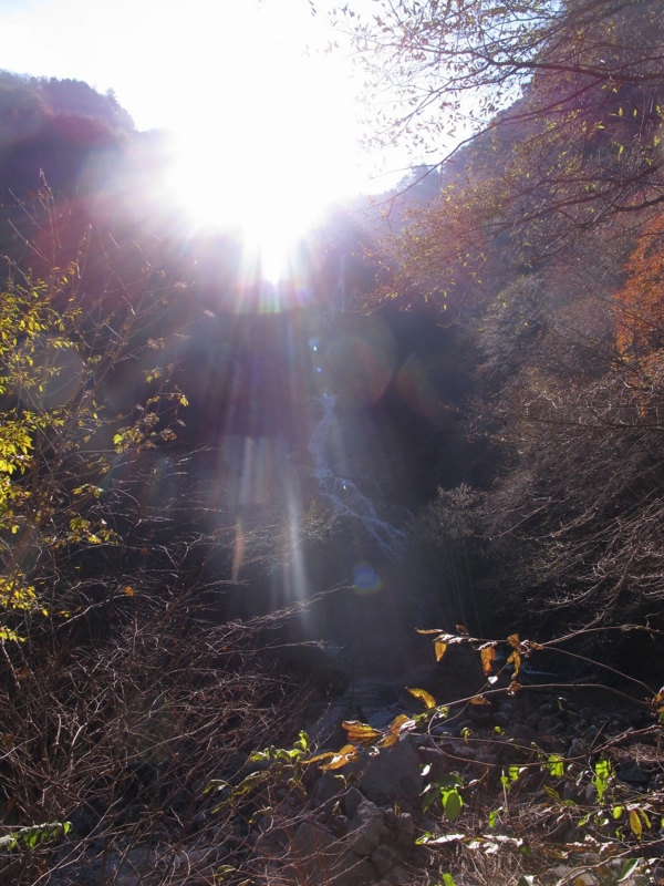 f:id:musikusanouen:20131116221512j:image:w360