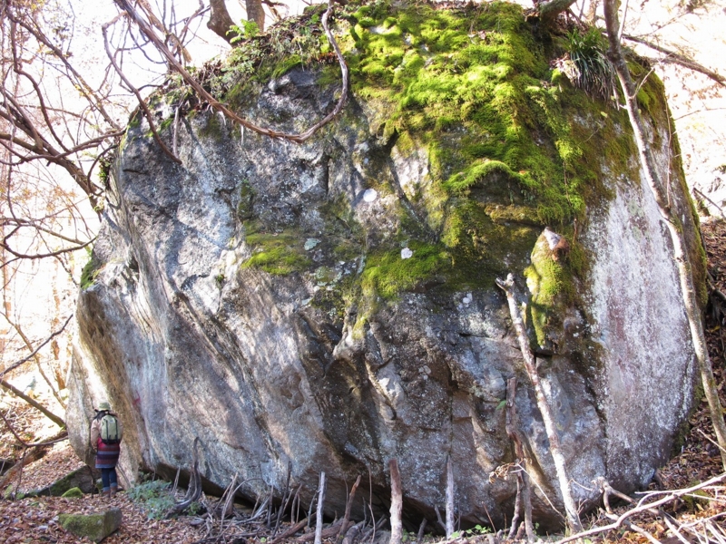 f:id:musikusanouen:20131116221514j:image:w360