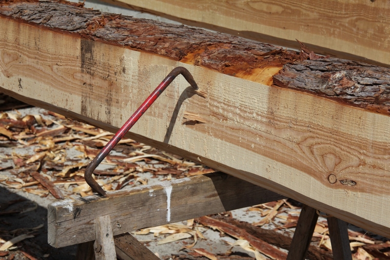 f:id:musikusanouen:20140414210158j:image:w360