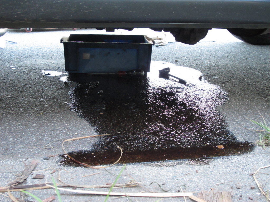 f:id:musikusanouen:20171016214031j:plain f:id:musikusanouen:20171016214031j:plain